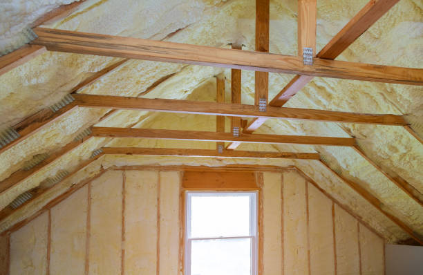 Best Commercial Insulation in Storm Lake, IA