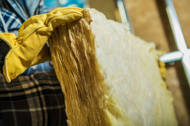 Best Cellulose Insulation in Storm Lake, IA